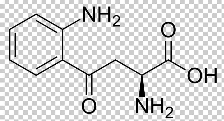 Kynurenine Amino Acid Tryptophan Phenylalanine PNG, Clipart, Acid, Alanine, Amino, Amino Acid, Angle Free PNG Download