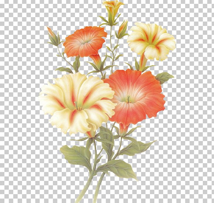 Orkut Floral Design Flower Love Spring PNG, Clipart, Annual Plant, Blog, Cut Flowers, Floral Design, Floristry Free PNG Download