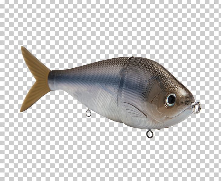 Plug Swimbait Fishing Baits & Lures PNG, Clipart, Bony Fish, Dorosoma, Fish, Fishing, Fishing Bait Free PNG Download