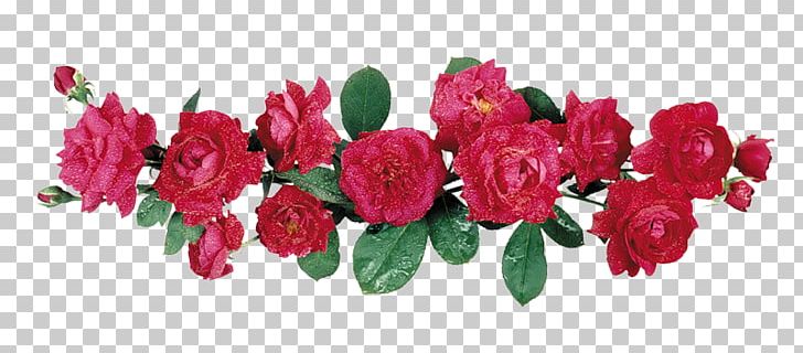Animaatio Rose Blog PNG, Clipart, Animaatio, Avatar, Blog, Cut Flowers, Epc Free PNG Download