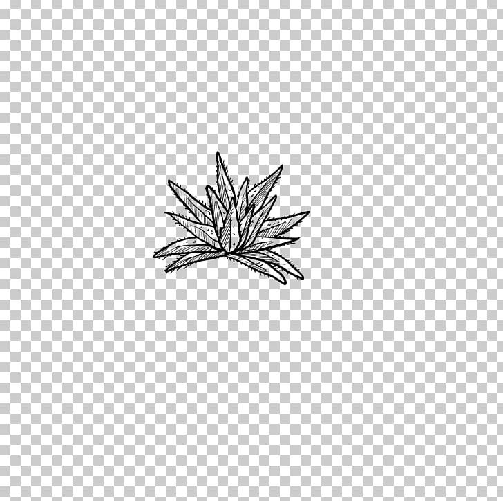 Drawing Black And White PNG, Clipart, Aloe Plant, Aloe Vector, Aloe Vera, Aloe Vera Crush, Aloe Vera Gel Free PNG Download