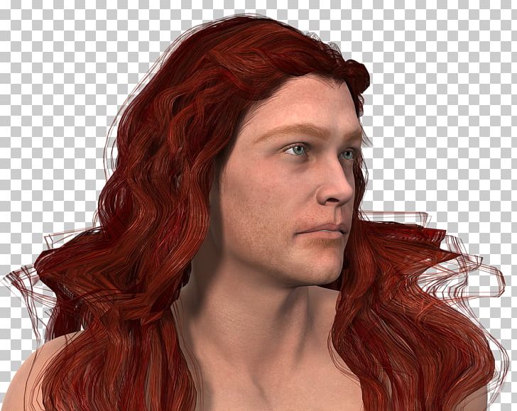 Red Hair Hair Coloring Capelli PNG, Clipart, Beard, Brown Hair, Canities, Capelli, Chin Free PNG Download
