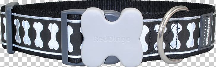 Dingo Dog Collar Leash Pet PNG, Clipart,  Free PNG Download