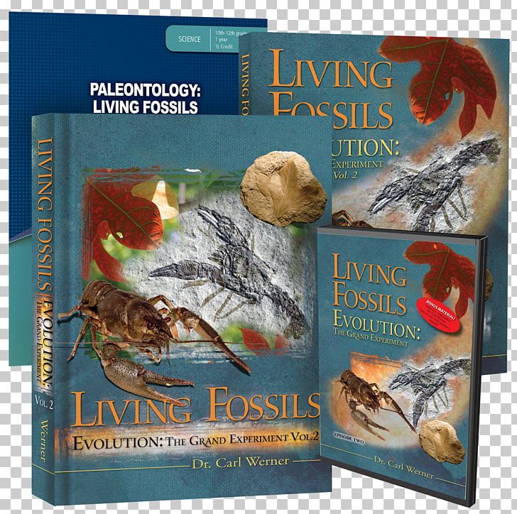Evolution: The Grand Experiment: The Quest For An Answer Living Fossil Paleontology Coelacanth PNG, Clipart, Bundle, Carl Werner, Coelacanth, Curriculum, Education Science Free PNG Download