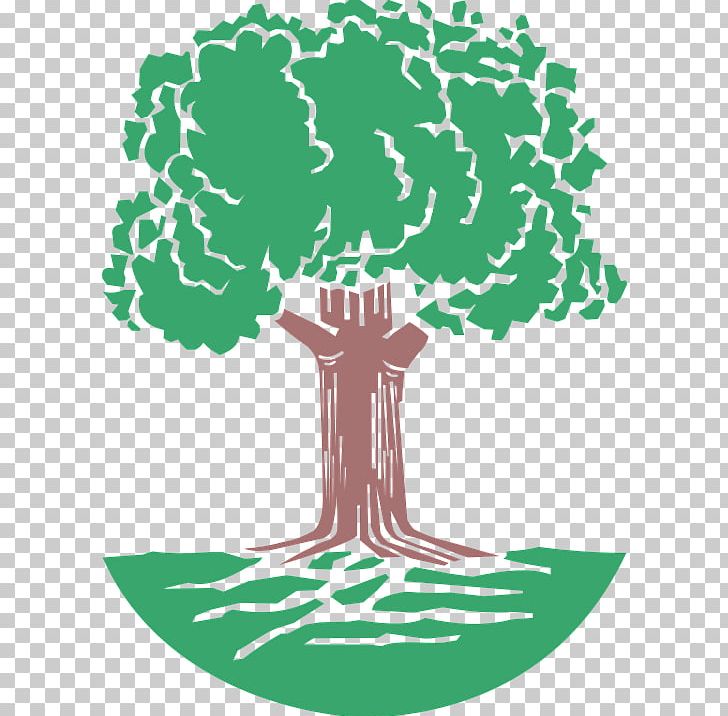 Oak Tree PNG, Clipart, Acorn, Area, Artwork, Branch, Cartoon Free PNG Download