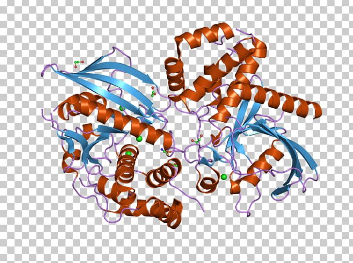 Protein Tyrosine Phosphatase PTPN9 Gene Protein Phosphatase PNG, Clipart, Art, Cell Signaling, Enzyme, Food, Gene Free PNG Download