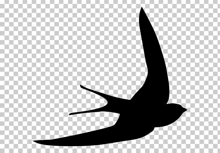 Bird Common Swift Computer Icons Swallow PNG, Clipart, Albatross, Animals, Apus, Beak, Bird Free PNG Download