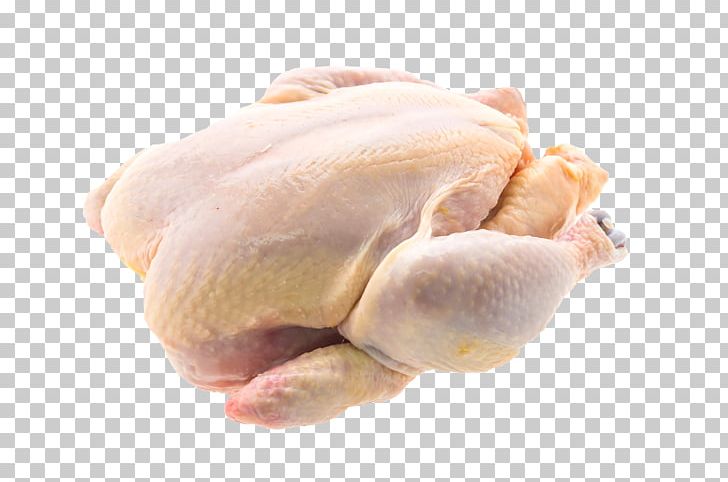 Chicken Meat Poultry Food PNG, Clipart, Animal Fat, Animals, Animal Source Foods, Chicken, Chicken Breast Free PNG Download
