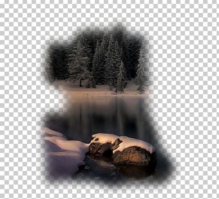 Desktop Photography 1080p PNG, Clipart, 1080p, Animals, Boar, Computer, Computer Wallpaper Free PNG Download