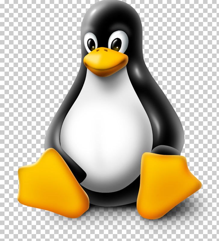 Linux Kernel Tux Operating Systems Red Hat PNG, Clipart, Alpine Linux, Arch Linux, Beak, Bird, Computer Free PNG Download