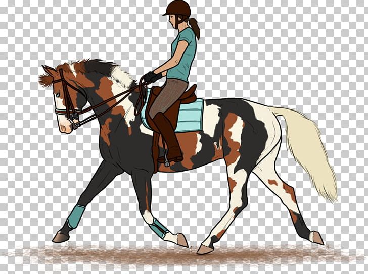 Stallion Hunt Seat Dressage Rein Mare PNG, Clipart, Animals, Animal Training, Art, Bridle, Devian Free PNG Download