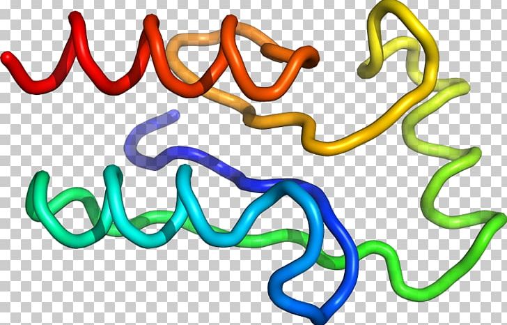 Organism Line PNG, Clipart, Ags, Animal Figure, Area, Art, C 47 Free PNG Download