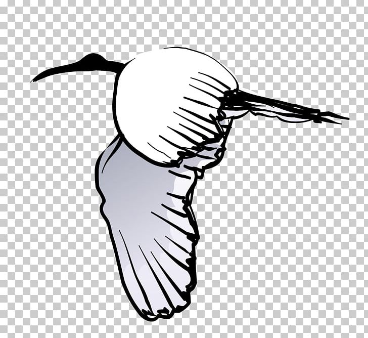 Bird Crane Swan Goose PNG, Clipart, Animation, Beak, Bird, Birds, Black And White Free PNG Download