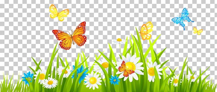 Flower Free Content Spring PNG, Clipart, Blog, Butterfly, Clip Art, Color Garden, Computer Wallpaper Free PNG Download