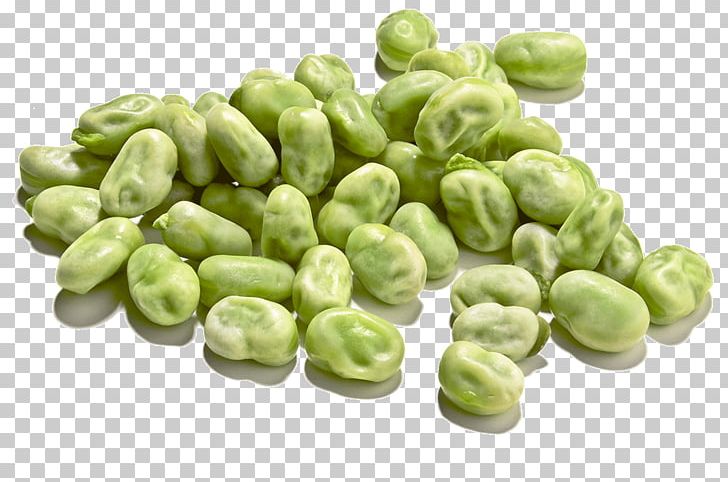 Broad Bean Vegetable Pea Common Bean PNG, Clipart, Bean, Broad Bean ...