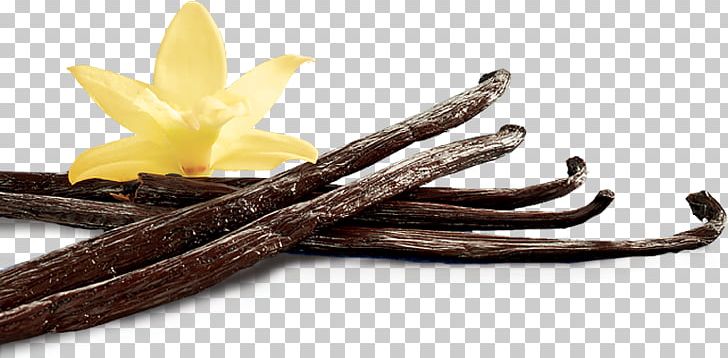 Ganache Vanillekipferl Vanilla Spice Pod PNG, Clipart, Arabica, Camargue, Chocolate, Dessert, Dish Free PNG Download