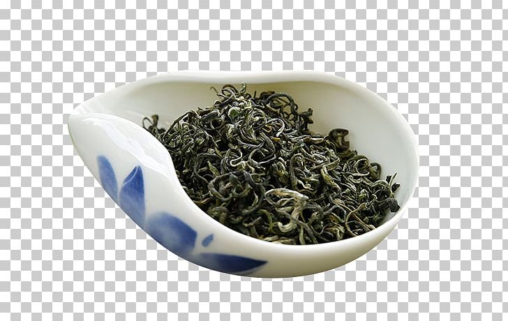 Green Tea Xinyang Maojian Tea Biluochun Tea Horse Road PNG, Clipart, Da Hong Pao, Dianhong, Earl Grey Tea, Enriched, Green Apple Free PNG Download