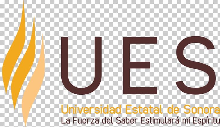 Hermosillo Sonora State University Universidad Estatal De Sonora UES PNG, Clipart, Brand, Hermosillo, Information, Line, Logo Free PNG Download