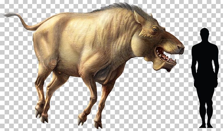 Tyrannosaurus Wild Boar Daeodon Carnivorous Animals Carnivore PNG, Clipart, Animal, Big Cats, Bison, Bull, Carnivoran Free PNG Download