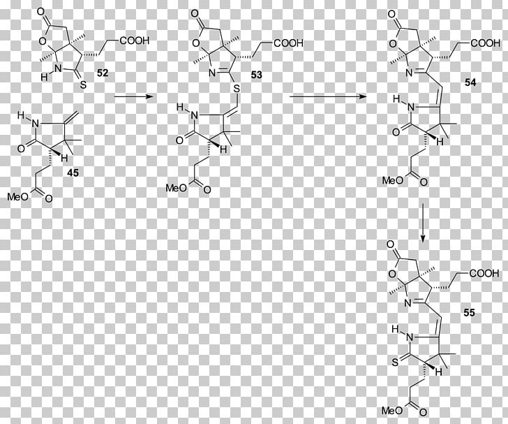 Vitamin B12 Total Synthesis Vitamin B-12 Cyanocobalamin PNG, Clipart, Angle, Area, Biosynthesis, Black And White, B Vitamins Free PNG Download