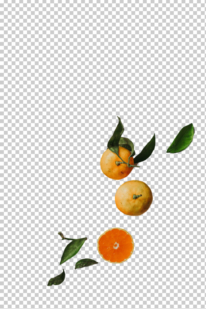 Orange PNG, Clipart, Bitter Orange, Calamansi, Natural Foods, Orange, Rangpur Free PNG Download