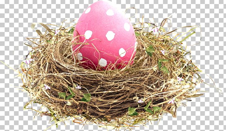 Bird Nest Easter PNG, Clipart, Animals, Bird, Bird Nest, Bird Nest Vector, Birds Free PNG Download