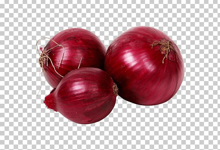 Organic Food Red Onion Vegetable Salsa PNG, Clipart, Beet, Beetroot, Business, Christmas Ornament, Flavor Free PNG Download