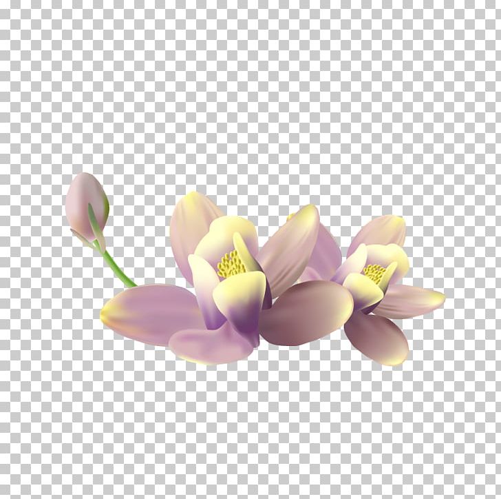 Petal Flower PNG, Clipart, Adobe Illustrator, Blossom, Decorative, Decorative Material, Download Free PNG Download