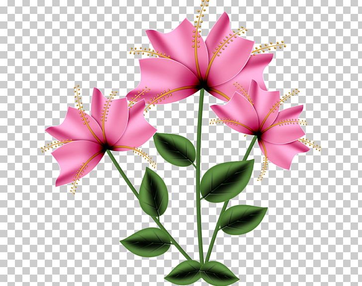 Wednesday Morning PNG, Clipart, Animated Film, Blessing, Cut Flowers, Desktop Wallpaper, Flora Free PNG Download