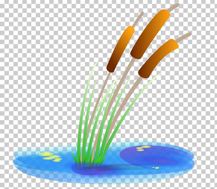 Cartoon Royaltyfree Pond PNG, Clipart, Animated Film, Cartoon, Cutlery, Download, Drawing Free PNG Download