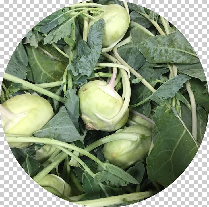 Cruciferous Vegetables Spring Greens Vegetarian Cuisine Kohlrabi Spinach PNG, Clipart, Cruciferous Vegetables, Food, Kohlrabi, La Quinta Inns Suites, Leaf Vegetable Free PNG Download