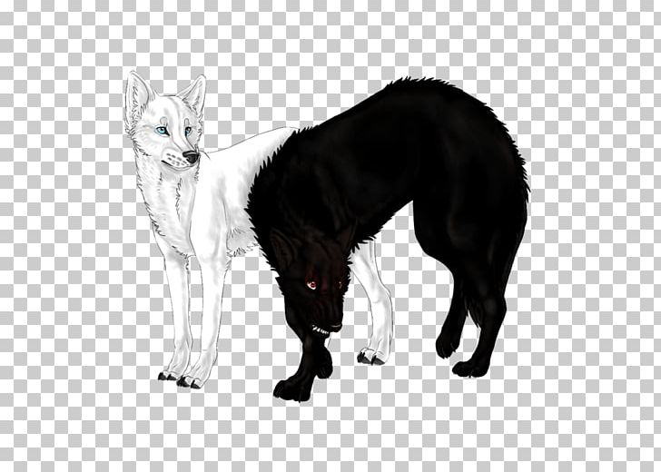 Whiskers Dog Breed Cat Fur PNG, Clipart, Animals, Black And White, Breed, Carnivoran, Cat Free PNG Download