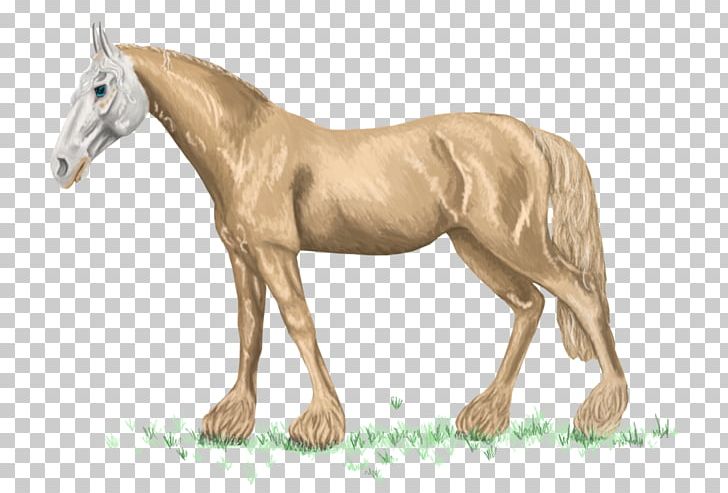 Mustang Foal Stallion Mare Colt PNG, Clipart, Animal, Animal Figure, Colt, Faster Horses, Fauna Free PNG Download