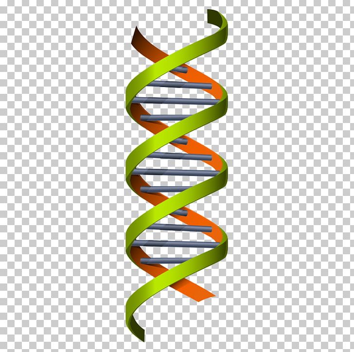 Science Genetics Euclidean DNA Illustration PNG, Clipart, Chemistry, Color, Dna, Education Science, Euclidean Vector Free PNG Download