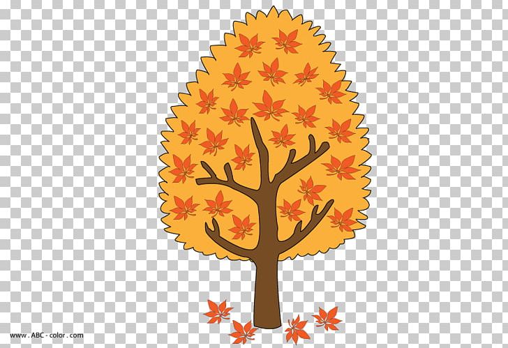 Sweet Chestnut Tree Autumn Drawing Raster Graphics PNG, Clipart, Autumn, Chestnut, Child, Drawing, Family Free PNG Download