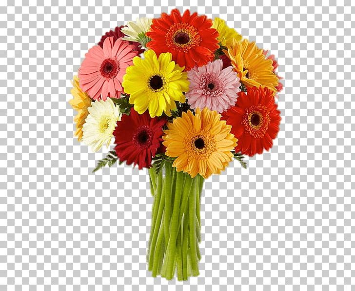 Transvaal Daisy Flower Bouquet Cut Flowers Floristry PNG, Clipart,  Free PNG Download