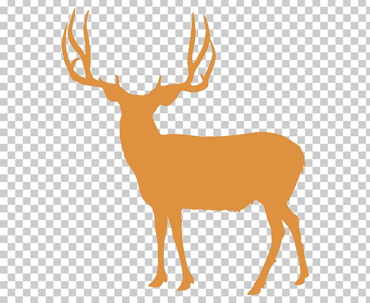 Elk White-tailed Deer Reindeer Utah PNG, Clipart, Antler, Biggame Hunting, Deer, Deer Antler, Deer Hunting Free PNG Download