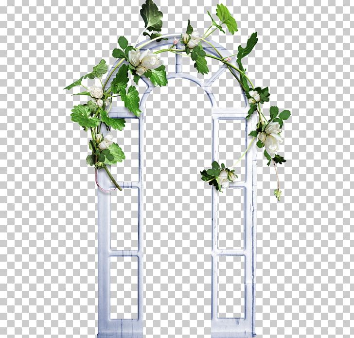 Photography Wedding Branch PNG, Clipart, Branch, Digital Image, Encapsulated Postscript, Flower, Ivy Free PNG Download