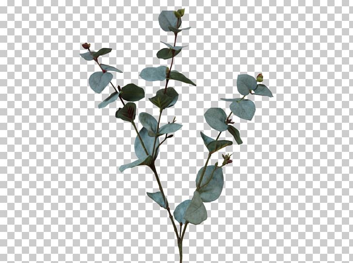 Plant Stem Artificial Flower Leaf Tree PNG, Clipart, Artificial Flower, Branch, Eucalyptus, Flower, Flower Bouquet Free PNG Download
