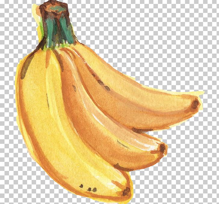 Saba Banana Watercolor Painting PNG, Clipart, Banana, Banana Family, Computer Icons, Cooking Banana, Cooking Plantain Free PNG Download