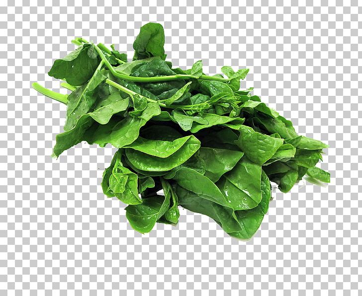 Spinach Komatsuna Collard Greens Spring Greens Chard PNG, Clipart, Brassica Juncea, Chanda, Chard, Chinese Broccoli, Choy Sum Free PNG Download