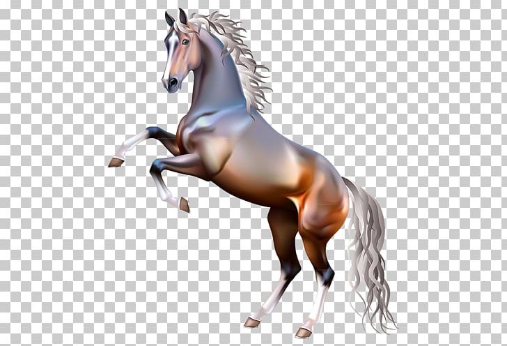 Mustang Rearing Mane Equestrian Gallop PNG, Clipart, Bay, Black, Bridle, Collection, Colt Free PNG Download