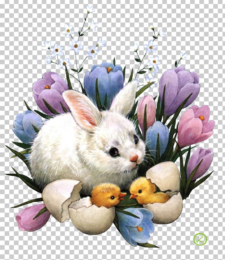 Easter Bunny Desktop Easter Egg Egg Hunt PNG, Clipart, Christianity, Christmas, Desktop Wallpaper, Domestic Rabbit, Easter Free PNG Download