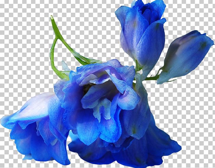 Flower PNG, Clipart, Animation, Bellflower Family, Blue, Cartoon, Clip Art Free PNG Download