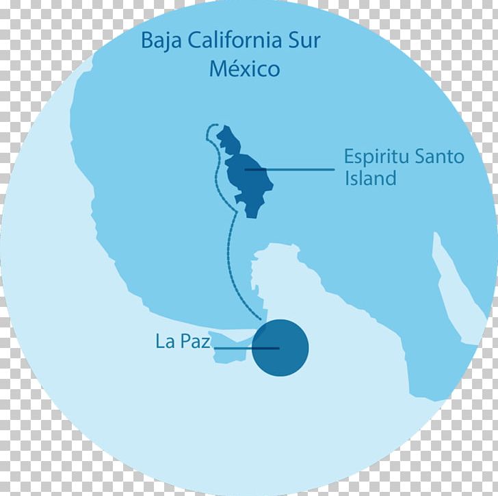 Isla Espíritu Santo RED Travel México UNESCO Sea Lion PNG, Clipart, Baja California Peninsula, Circle, Cultural Heritage, Diagram, Islamic Decorative Map Free PNG Download