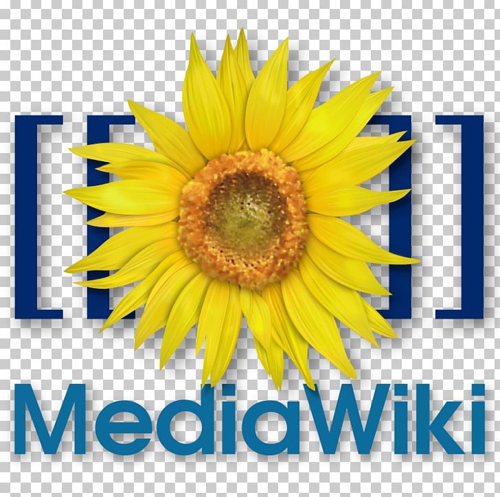 MediaWiki Wikimedia Foundation Computer Software Wikipedia PNG, Clipart, Computer Software, Cut Flowers, Daisy Family, Docker, Flower Free PNG Download