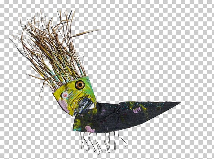 Beak Feather Tail PNG, Clipart, 10 De Mayo, Animals, Beak, Fauna, Feather Free PNG Download