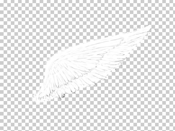Columbidae White-winged Dove Drawing Art PNG, Clipart, Angel, Angel Wings, Art, Black And White, Columbidae Free PNG Download