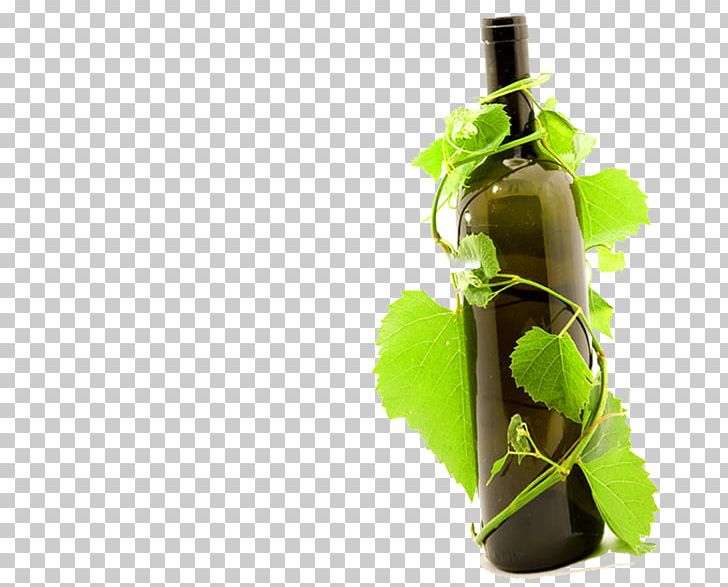 Red Wine Common Grape Vine Bottle Wine Glass PNG, Clipart, Alcohol Bottle, Bottles, Drink, Drinkware, Food Free PNG Download
