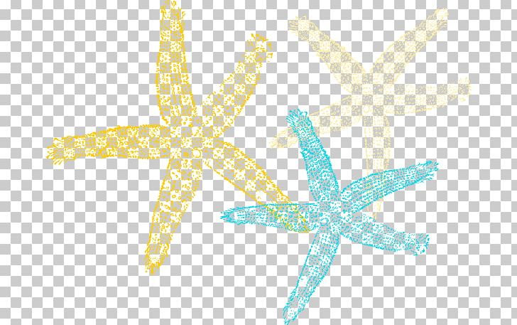 Starfish Echinoderm PNG, Clipart, Color, Computer Icons, Echinoderm, Invertebrate, Marine Invertebrates Free PNG Download